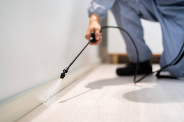 Licensed Cockroach Control service in Centreville, VA - Nex Pest Control