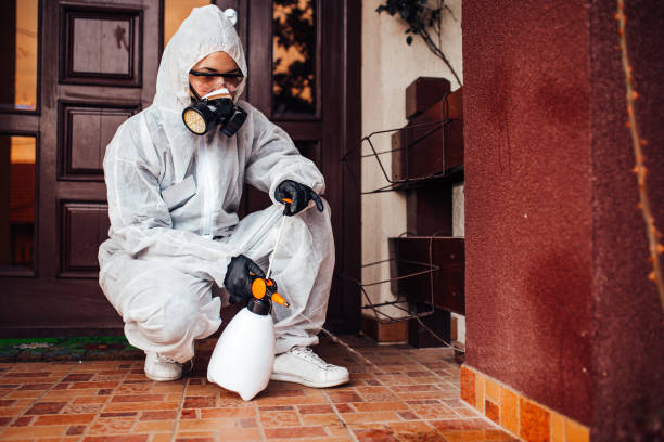 Reliable Cockroach Control contractor in Centreville, VA by Nex Pest Control