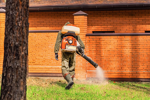 Trusted Mosquito Control service in Centreville, VA - Nex Pest Control